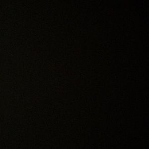 Meet your Posher, Fritzie